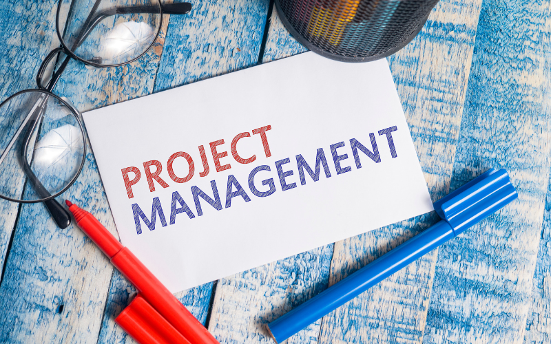 MSc International Project Management