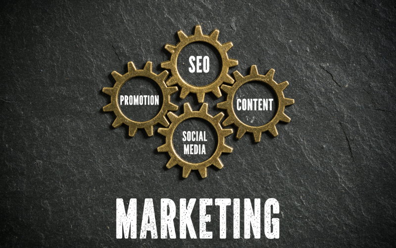 MSc Marketing
